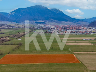 Oportunitate de investitie în Zarnesti I Teren intravilan 8557 mp