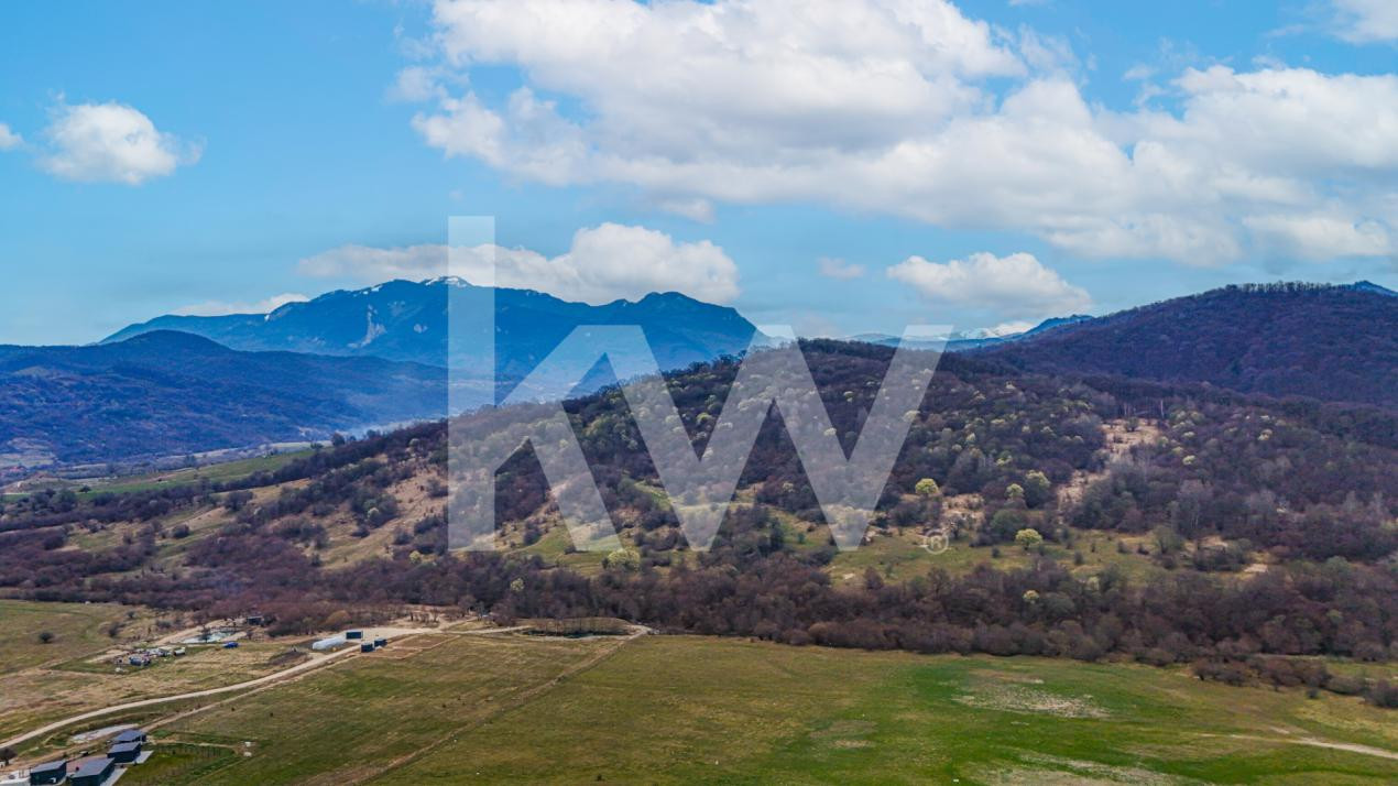 Teren Imprejmuit, PUZ, Utilitati – Glajarie, Zona superba