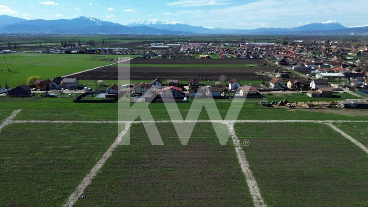 Teren de 627 mp în Hălchiu - utilități - Comision 0%