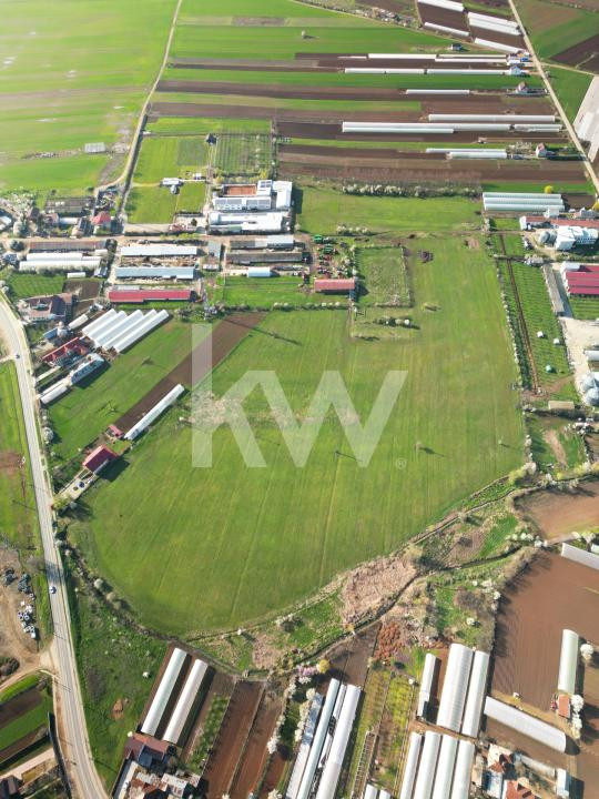  Comision 0% I Teren intravilan I 9.5 Ha I Băleni