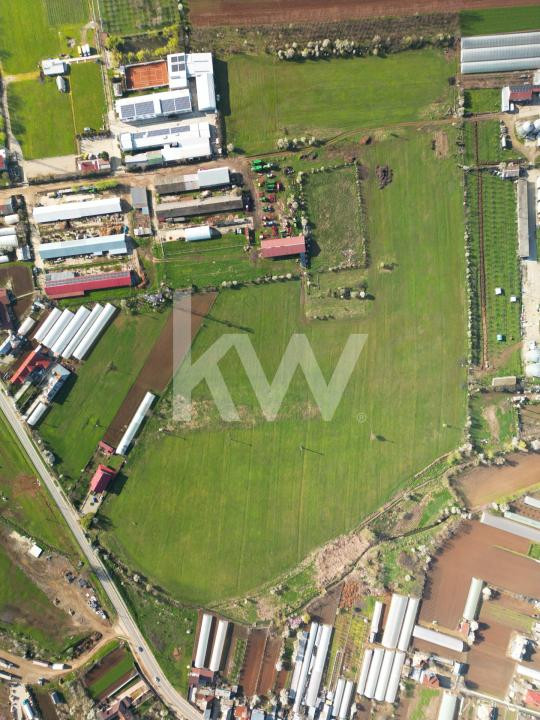  Comision 0% I Teren intravilan I 9.5 Ha I Băleni