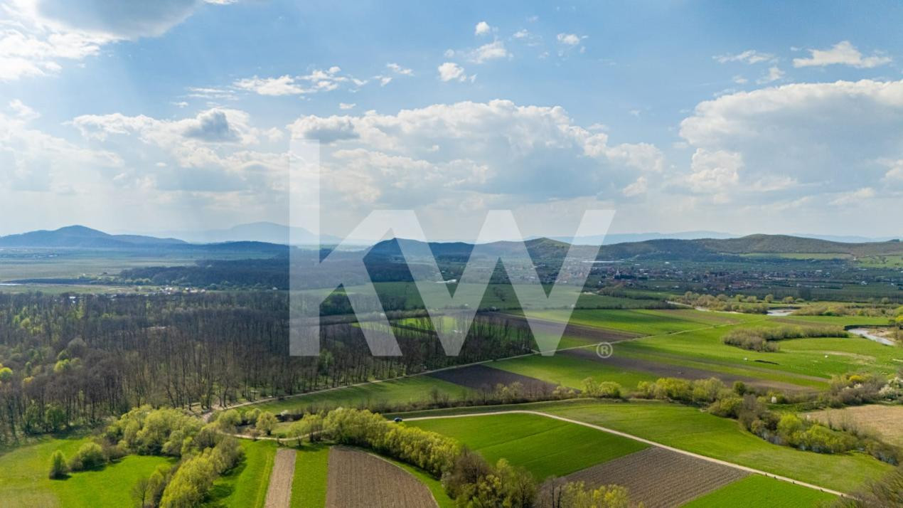 Teren intravilan - Lunca Calnicului