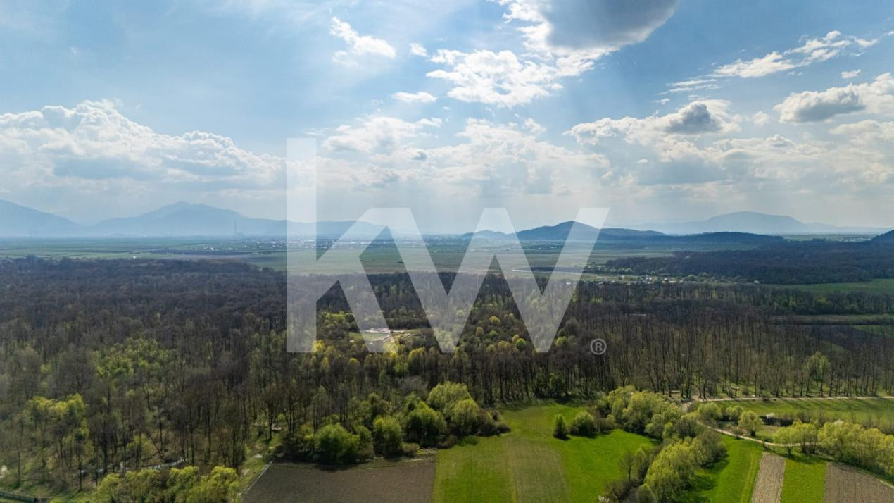 Teren intravilan - Lunca Calnicului