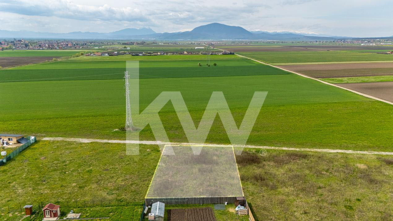 Teren intravilan de vanzare - Halchiu