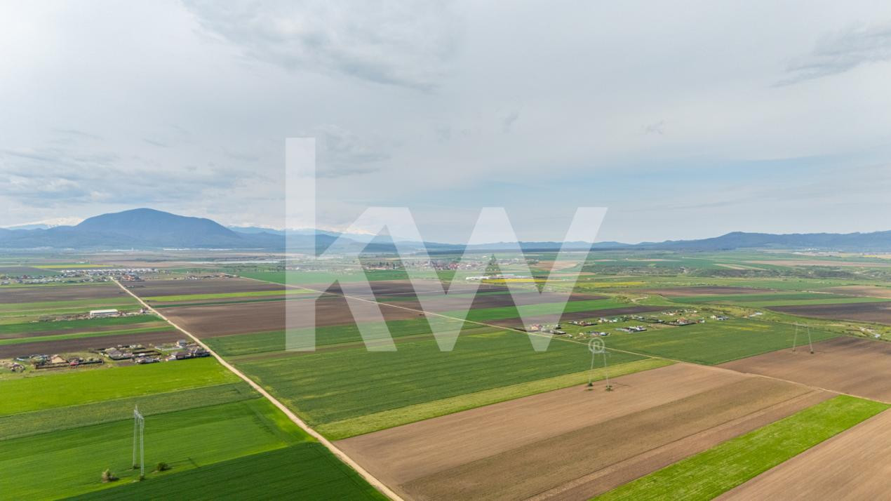 Teren intravilan de vanzare - Halchiu