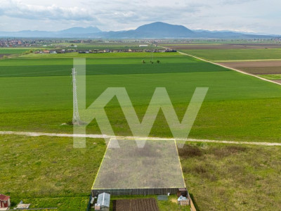 Teren intravilan de vanzare - Halchiu