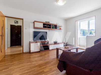 Apartament cu doua camere mobilat-utilat,  cu priveliste catre munte