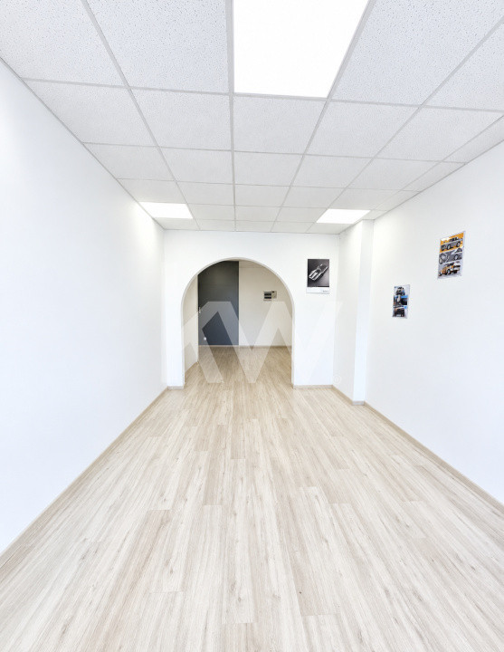 Oportunitate Afacere | Spațiu Comercial in Triaj