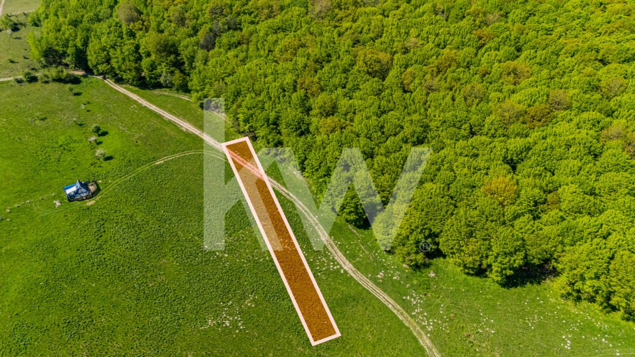 Teren 1500 mp | Zona Viesez – Codlea | Priveliște Superbă | Investiție 
