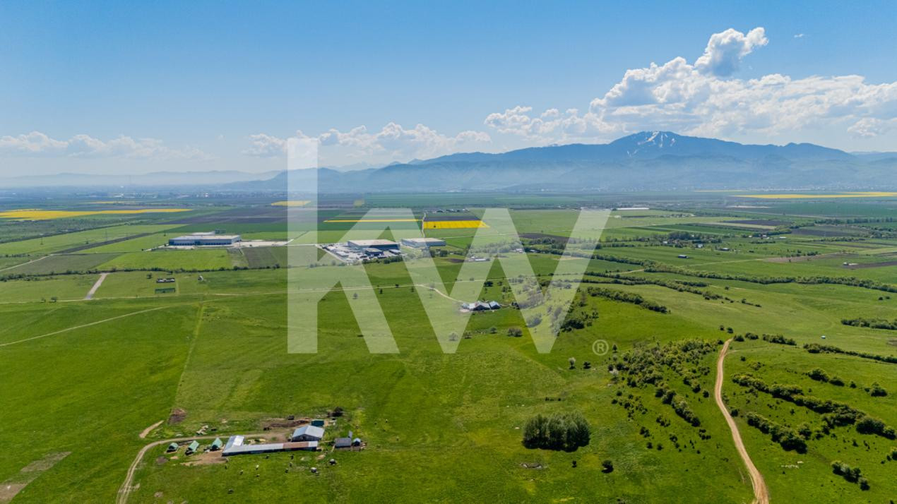 Teren 1500 mp | Zona Viesez – Codlea | Priveliște Superbă | Investiție 
