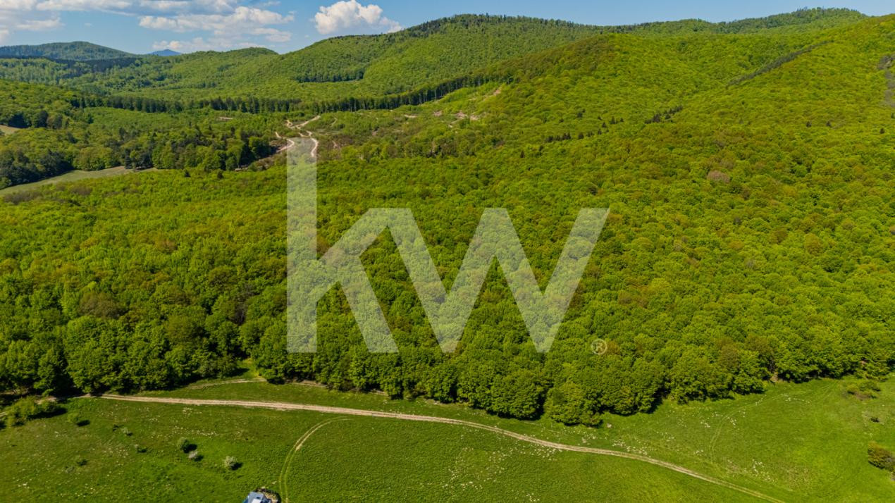Teren 1500 mp | Zona Viesez – Codlea | Priveliște Superbă | Investiție 