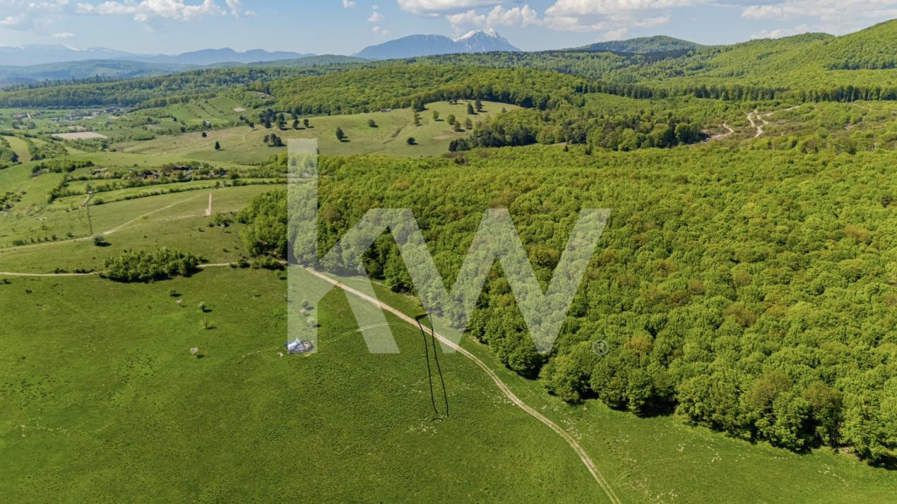 Teren 1500 mp | Zona Viesez – Codlea | Priveliște Superbă | Investiție 