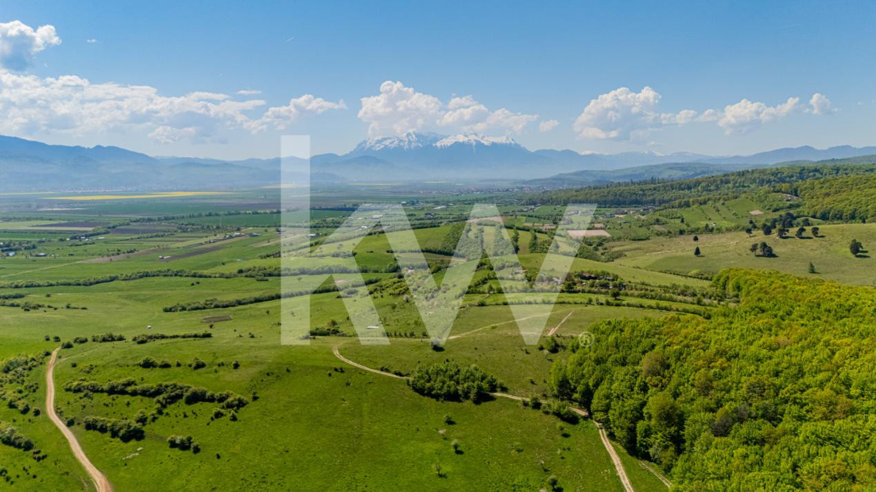 Teren 1500 mp | Zona Viesez – Codlea | Priveliște Superbă | Investiție 