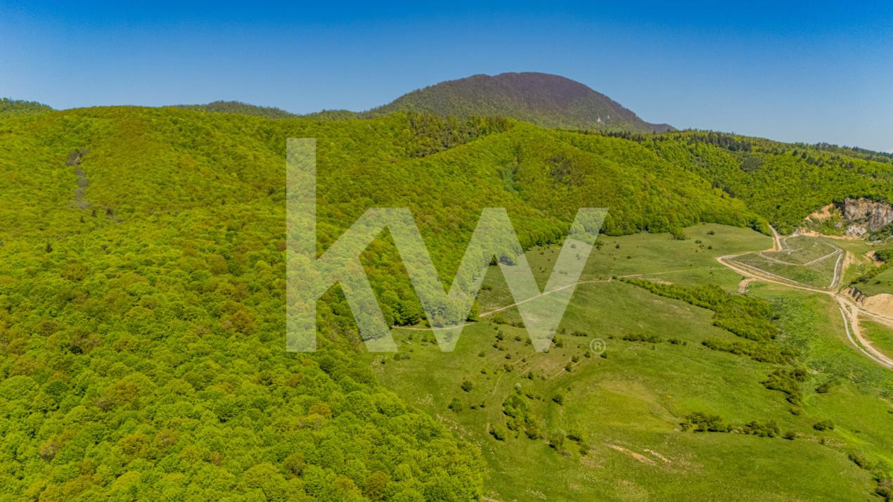 Teren 1500 mp | Zona Viesez – Codlea | Priveliște Superbă | Investiție 