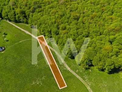 Teren 1500 mp | Zona Viesez – Codlea | Priveliște Superbă | Investiție 