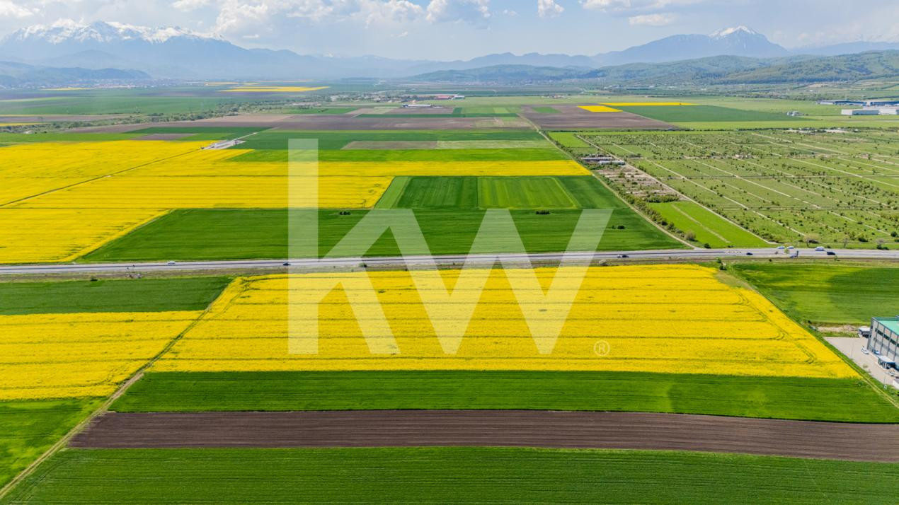     Teren 10.600 mp în Codlea – ideal pentru investiție industrială