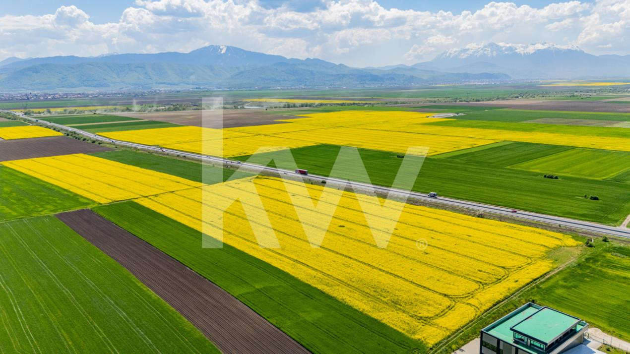     Teren 10.600 mp în Codlea – ideal pentru investiție industrială