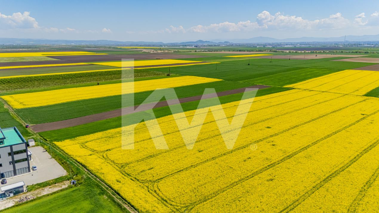     Teren 10.600 mp în Codlea – ideal pentru investiție industrială