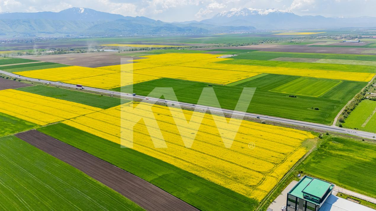     Teren 10.600 mp în Codlea – ideal pentru investiție industrială