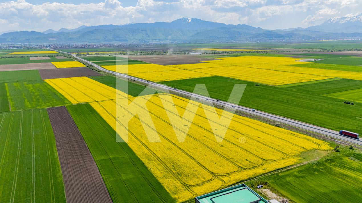     Teren 10.600 mp în Codlea – ideal pentru investiție industrială