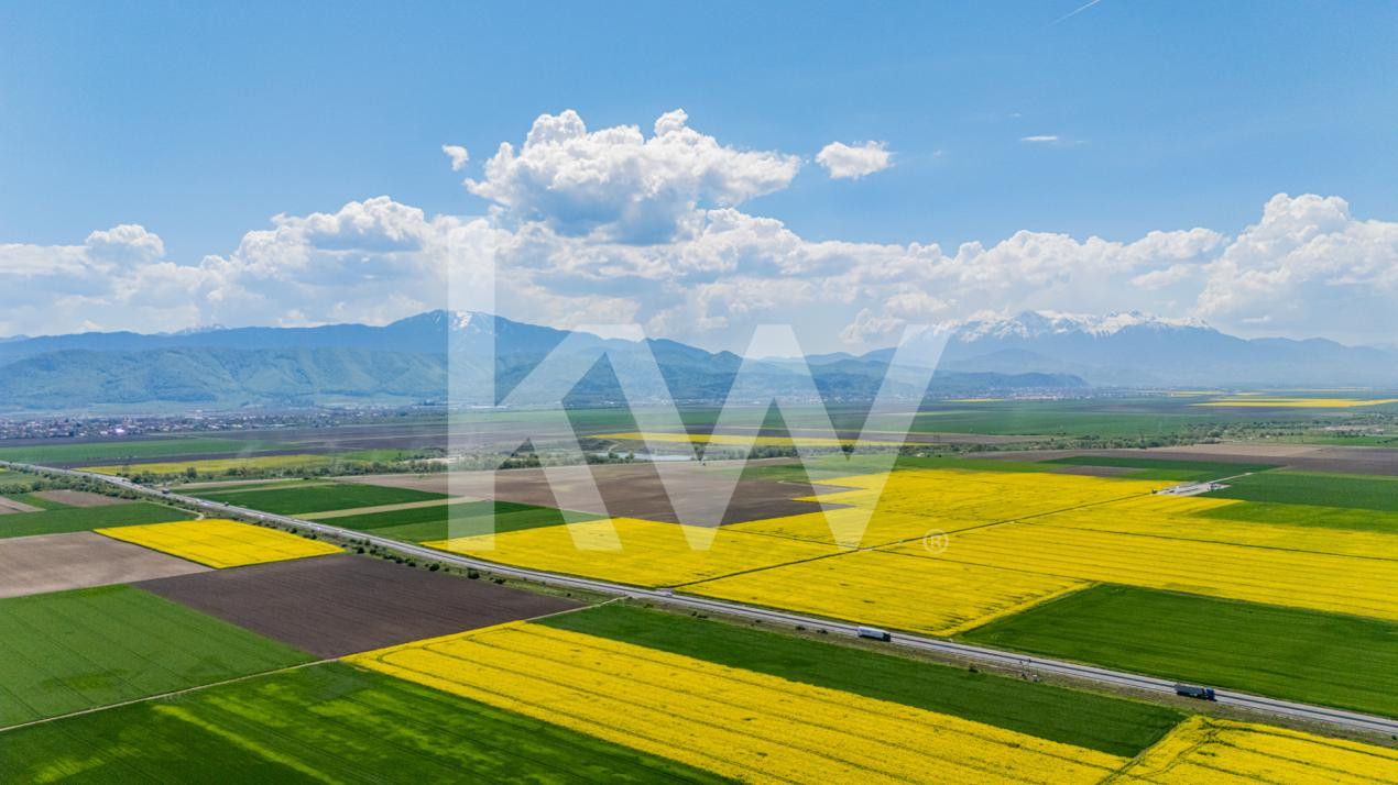     Teren 10.600 mp în Codlea – ideal pentru investiție industrială