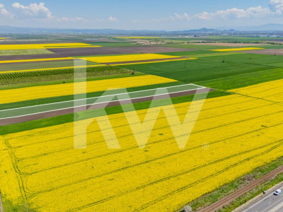     Teren 10.600 mp în Codlea – ideal pentru investiție industrială