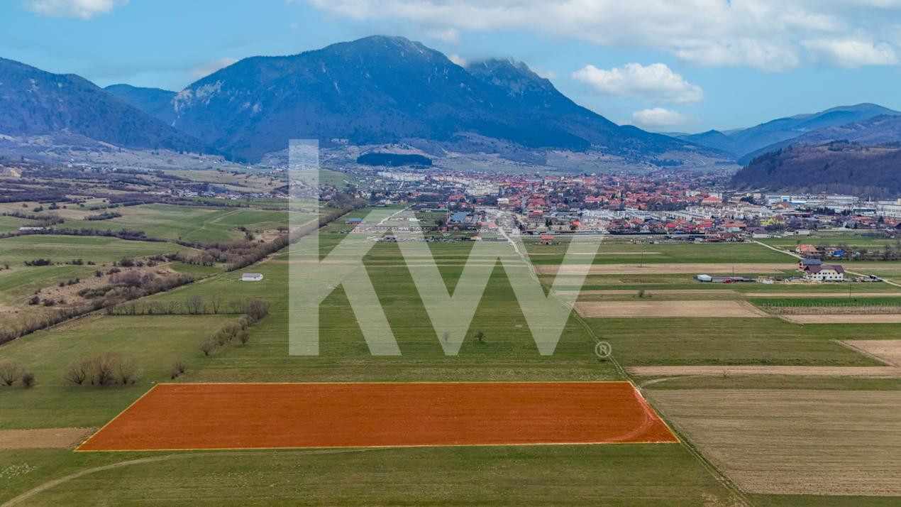 Teren intravilan – Zarnești, Zona Penny | 25 Euro/ mp