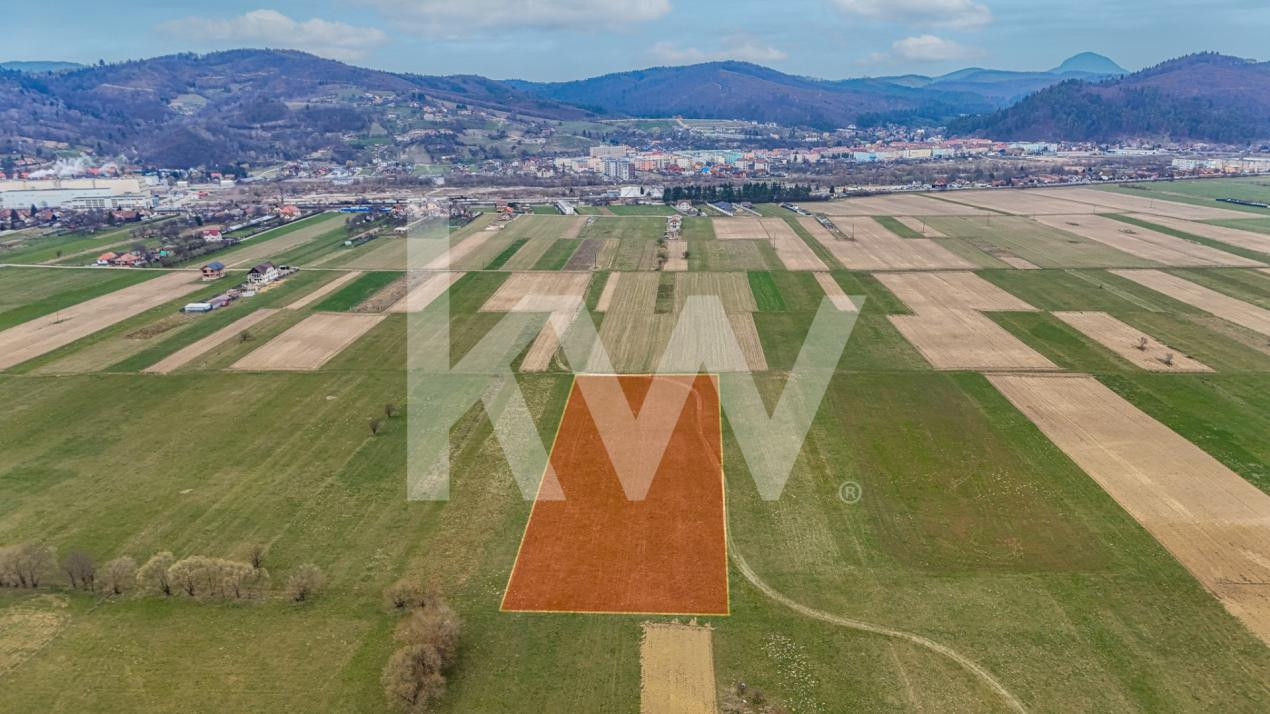 Teren intravilan – Zarnești, Zona Penny | 25 Euro/ mp