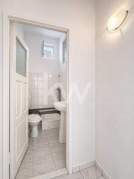 SPATIU COMERCIAL 30MP | SUPRAFATA VITRATA 4 ML | Zona Astra 