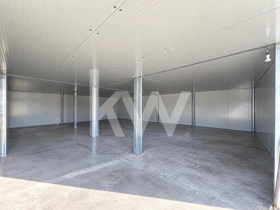 HALĂ | 126 MP | PUTERE INSTALATĂ 60 KW | BARTOLOMEU