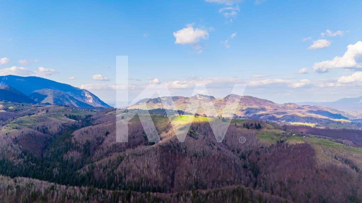 Teren de vanzare Sirnea- Comision 0%