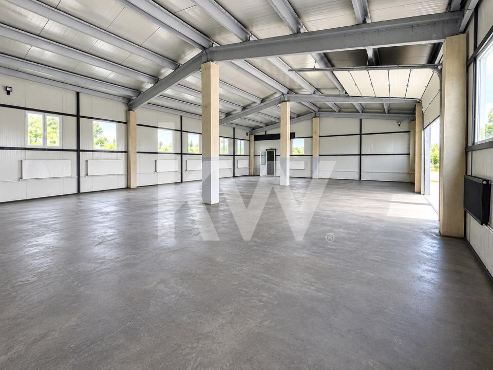 HALĂ | 240 MP | CURTE ÎMPREJMUITĂ 440 MP | TRAIAJ