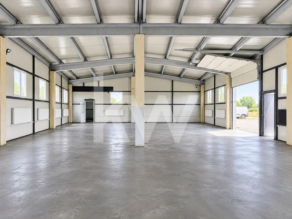 HALĂ | 240 MP | CURTE ÎMPREJMUITĂ 440 MP | TRAIAJ