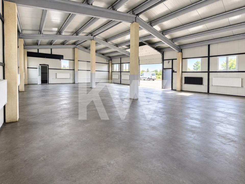 HALĂ | 240 MP | CURTE ÎMPREJMUITĂ 440 MP | TRAIAJ