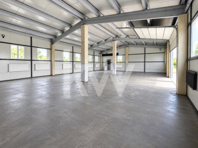HALĂ | 240 MP | CURTE ÎMPREJMUITĂ 440 MP | TRAIAJ