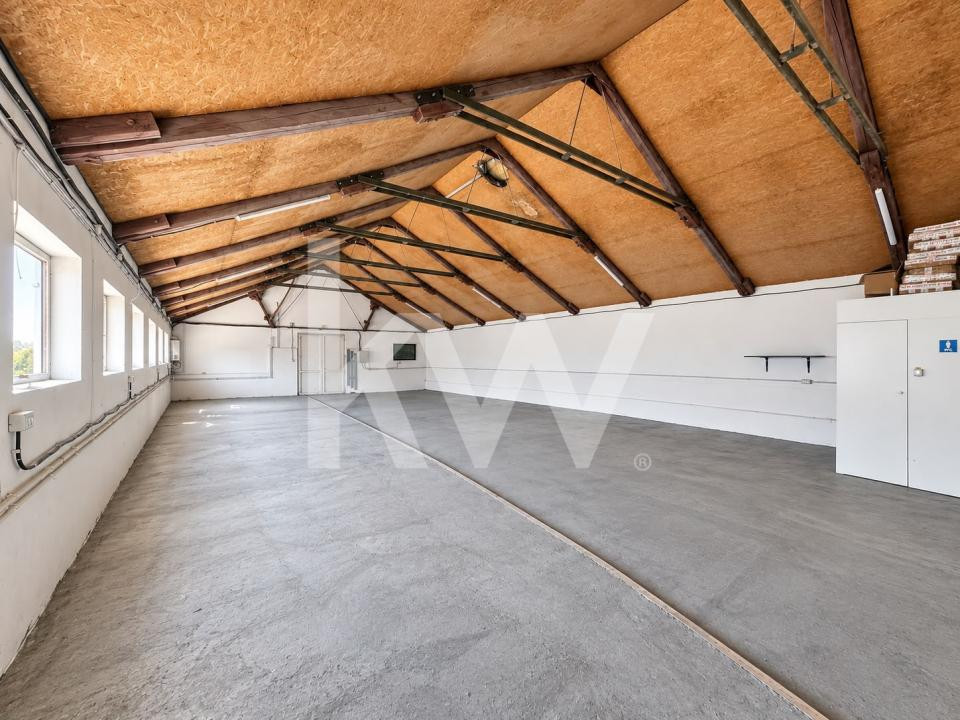 HALĂ | 200 MP | PUTERE INSTALATĂ 150 KW | HĂRMAN