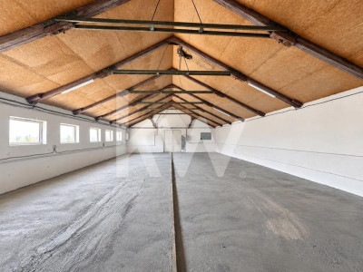HALĂ | 200 MP | PUTERE INSTALATĂ 150 KW | HĂRMAN