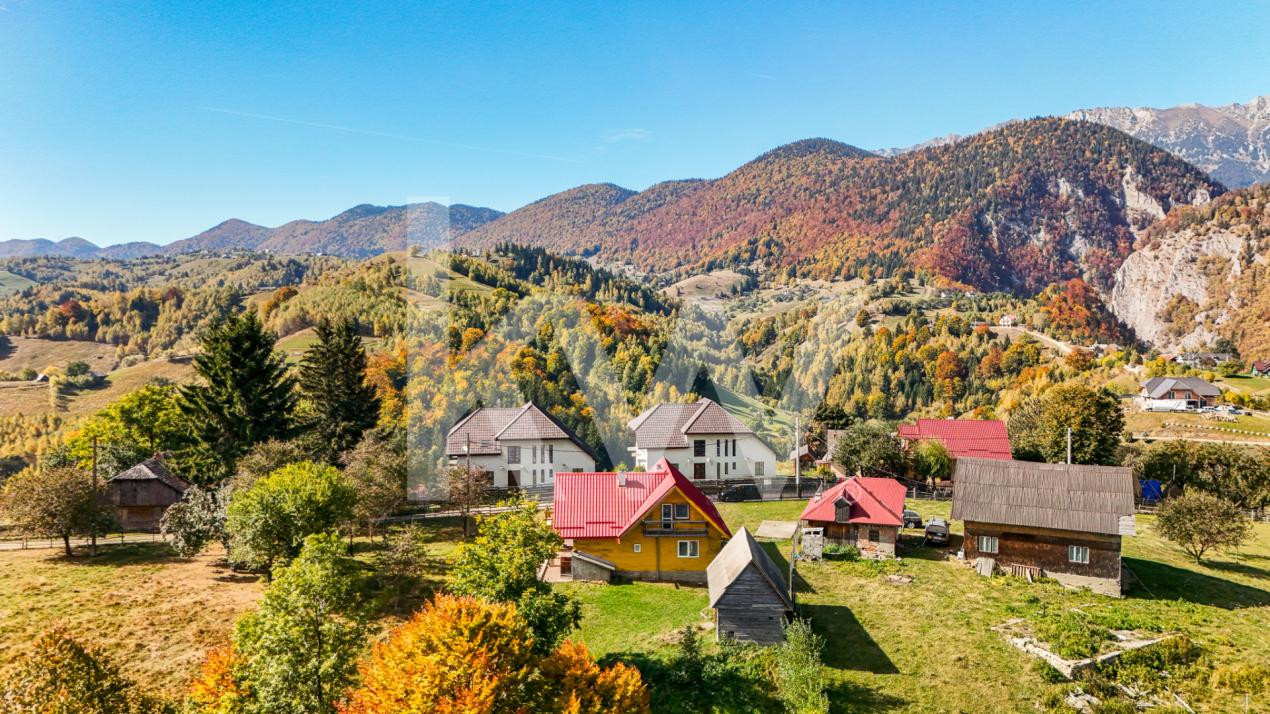 Casa Galbenă din Măgura – Un loc în care timpul curge altfel