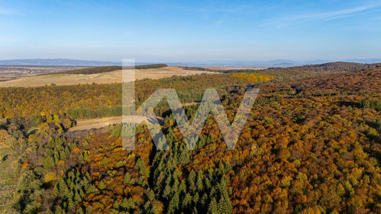 OPORTUNITATE DE INVESTIȚIE | TEREN INTRAVILAN PARCELABIL | CODLEA – ZONA GEAMĂNA