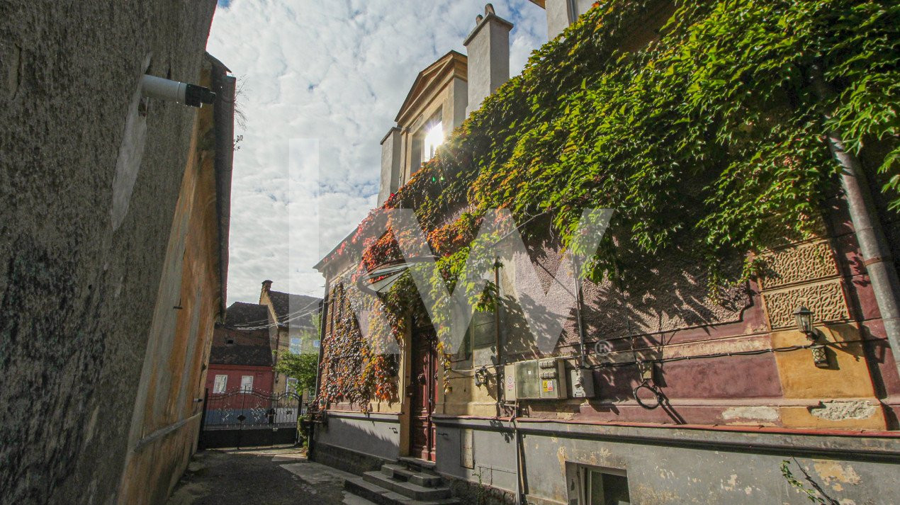 Proprietate deosebita, farmec si noblete - Strada Lunga 84