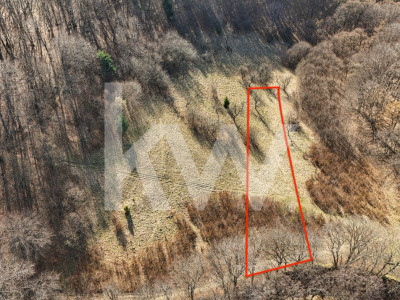 Cel mai mic pret din zonă! Teren intravilan în zona Belvedere