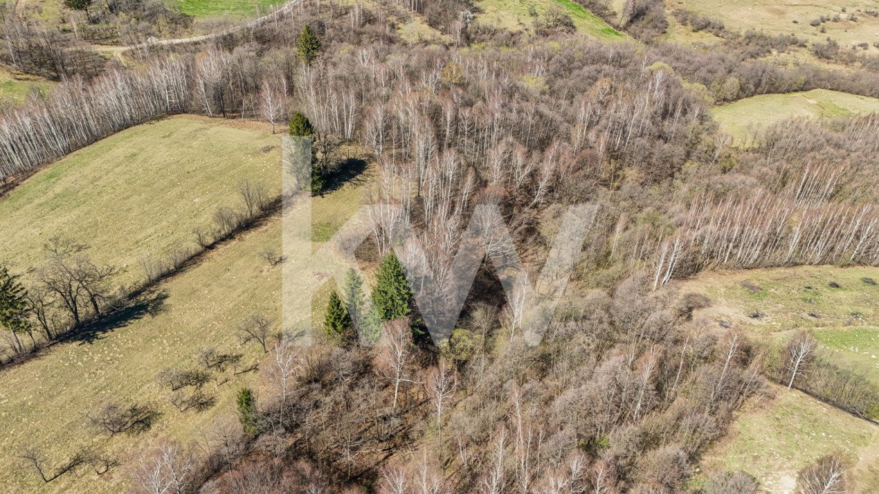 Vanzare teren intravilan 37723 mp Zarnesti Tohanita