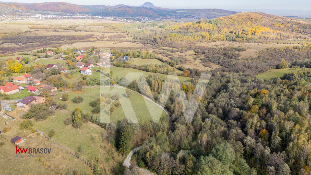 Vanzare teren intravilan 37723 mp Zarnesti Tohanita