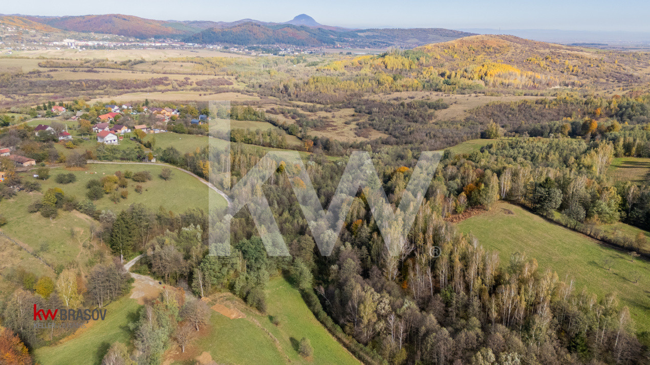Vanzare teren intravilan 37723 mp Zarnesti Tohanita