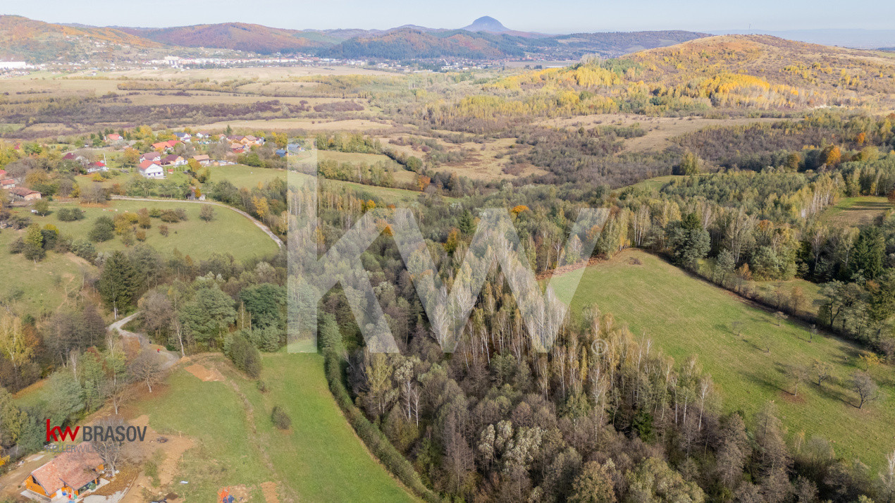 Vanzare teren intravilan 37723 mp Zarnesti Tohanita