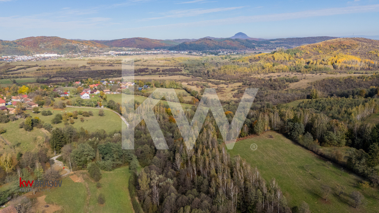 Vanzare teren intravilan 37723 mp Zarnesti Tohanita