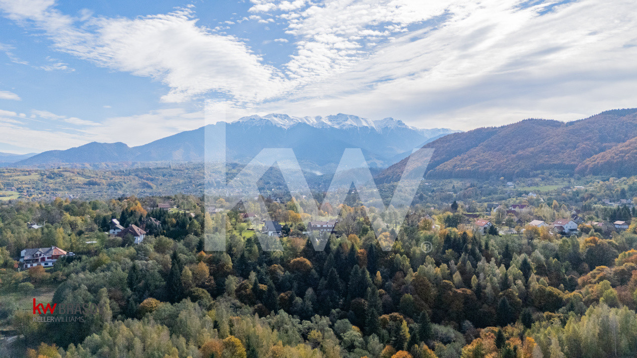 Vanzare teren intravilan 37723 mp Zarnesti Tohanita