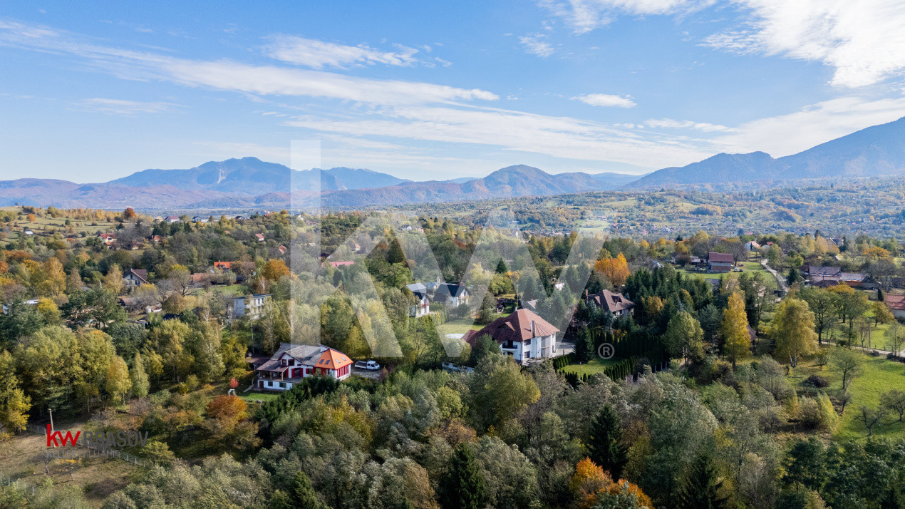 Vanzare teren intravilan 37723 mp Zarnesti Tohanita