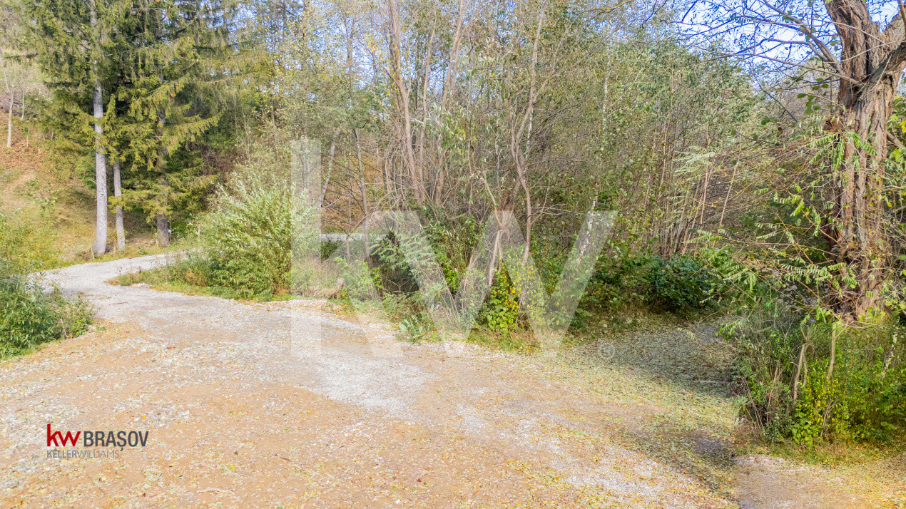 Vanzare teren intravilan 37723 mp Zarnesti Tohanita