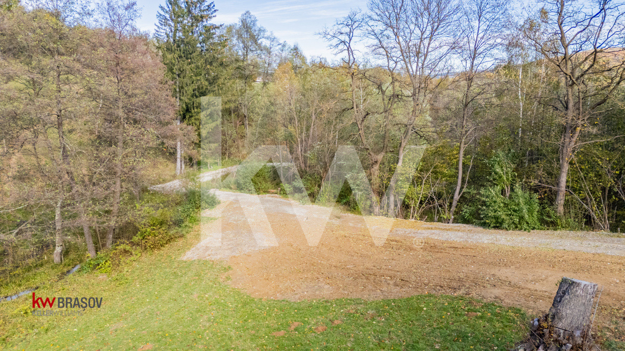 Vanzare teren intravilan 37723 mp Zarnesti Tohanita